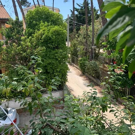 Apartment Near Golem Durres Albania *